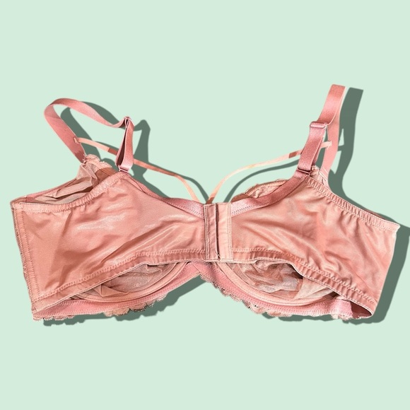 HSIA Pretty In Petals Lace Bra – Size 40DD, Light Coral - Picture 4 of 9